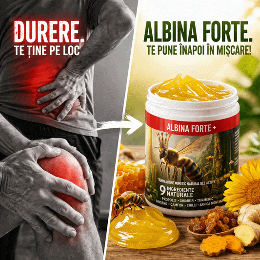 Albina Forte+