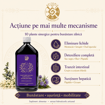 Tinctură pentru Suplețe Articulară și Mobilitate – Stare de Bine | 500ml